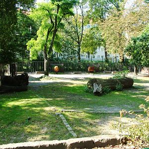 Buffalo Paddock at Dresden, 29/08/12