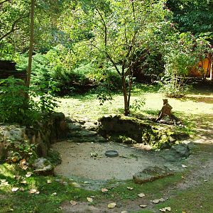 Wallaby Paddock at Dresden, 29/08/12
