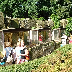 Small Mammal Exhibits at Dresden, 29/08/12