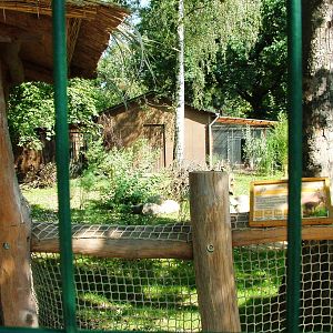 New Dik-Dik/Crane Exhibit at Dresden, 29/08/12