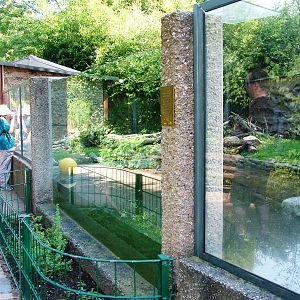 Otter Exhibit at Dresden, 29/08/12