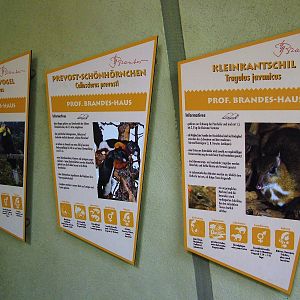 Signage Example at Dresden, 29/08/12