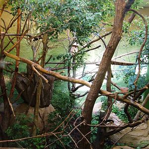 Professor Brandes House Mixed Exhibit at Dresden, 29/08/12