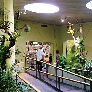 Professor Brandes House Interior at Dresden, 29/08/12