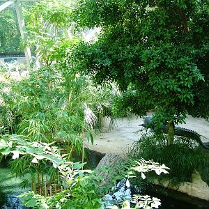 Professor Brandes House Crocodile Exhibit at Dresden, 29/08/12