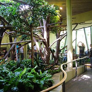 Professor Brandes House Interior at Dresden, 29/08/12