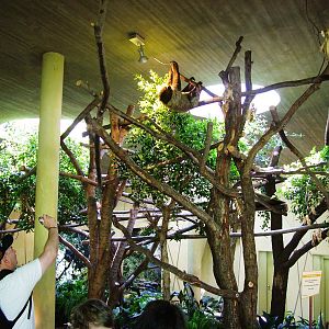 Professor Brandes House Interior at Dresden, 29/08/12