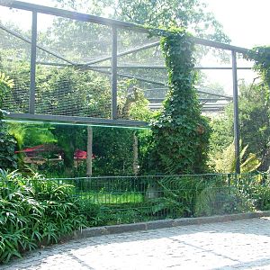 Aviary at Dresden, 29/08/12