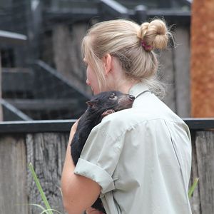 Tasmanian Devil photo-op