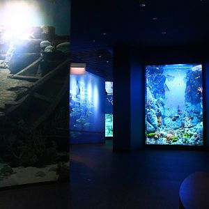 S.E.A. Aquarium - Red Sea