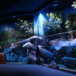 S.E.A. Aquarium - East Africa