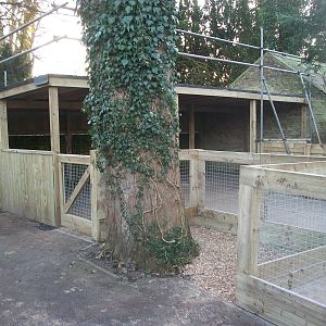 Sewerby Zoo, new hardstanding and shelter almost complete 13th December 201