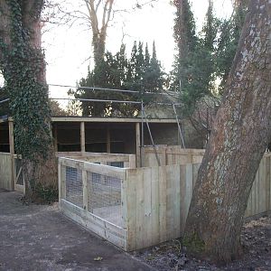 Sewerby Zoo, new hardstanding and shelter almost complete 13th December 201