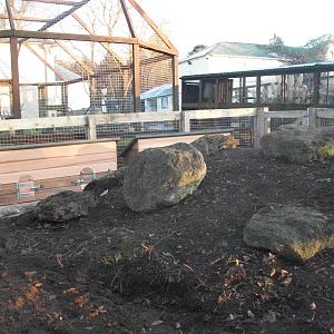 Sewerby Zoo, Cavy Country almost complete 13th December 2012