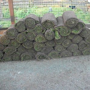 Sewerby Zoo, Cavy Country almost complete 13th December 2012