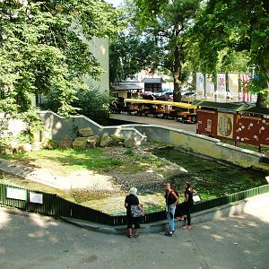 Seal Pool at Usti, 29/08/12