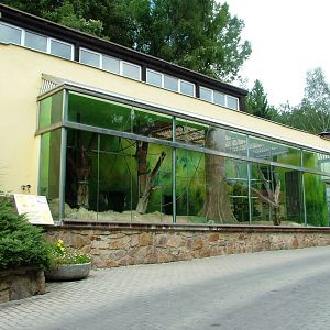 Orang-Utan House at Usti, 29/08/12