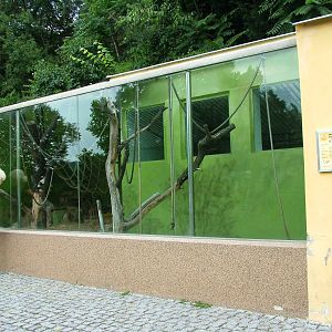 Orang-Utan House at Usti, 29/08/12