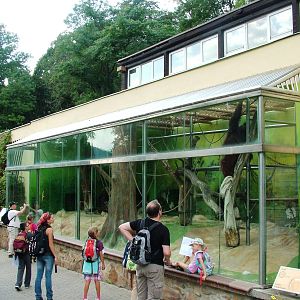 Orang-Utan House at Usti, 29/08/12