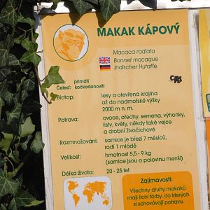 Signage Example at Usti, 29/08/12