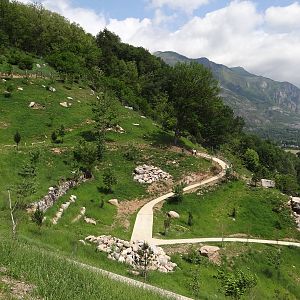 Caprid walkthrough exhibit (6 species)