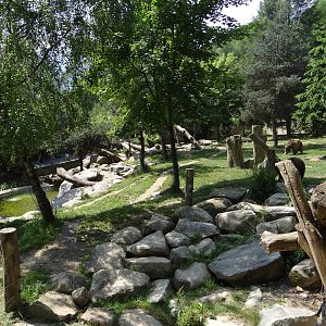 European brown bear exhibit