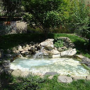 Invasive species exhibit