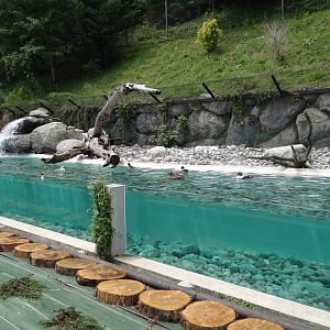 Fishing birds exhibit (4 species)