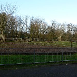 Zebra Paddock at Blackpool Zoo, 09/12/12