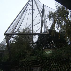 View of the Snowdon Aviary form the canal