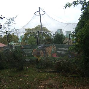 View of work for new Tiger exhibit