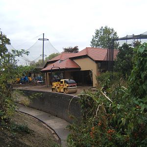 View of work for new Tiger exhibit