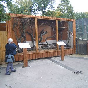 New Caracara Aviary