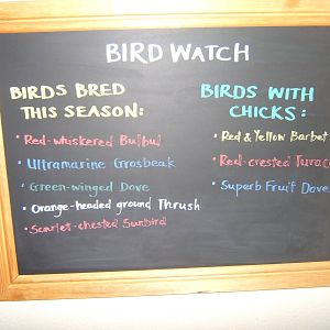 Sign showing what birds have bred