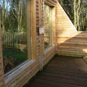 Wolf exhibit at Blackpool Zoo, 09/12/12