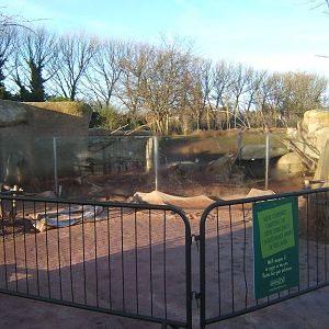Work on the Aardvark enclosure