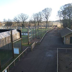 View towards the Tigers