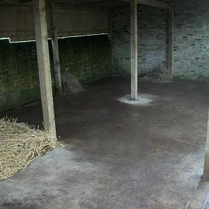 Sewerby Zoo, ready for Caramel and Madge  15th December 2012