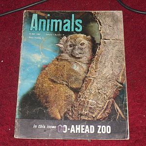 Animals  - Volume 1 Issue 17 (14 May 1963) - Front cover