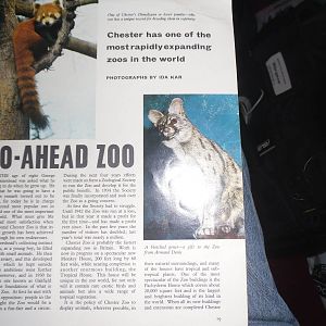 Animals  - Volume 1 Issue 17 (14 May 1963) - Chester Zoo article page 1