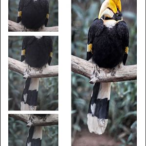 panorama for fence blur