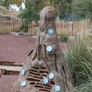 artificial termite mound
