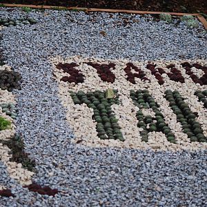 Stand Tall garden, 18/12/2012