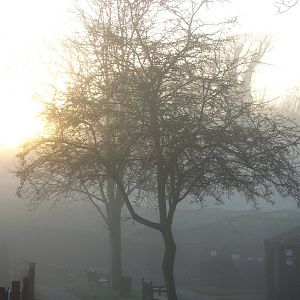 Sewerby Zoo, another sea fret at Bridlington 16th December 2012