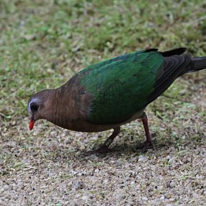 Can Anyone ID Please?