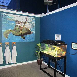 Free-standing Terrarium