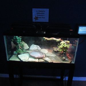 Free-standing Terrarium