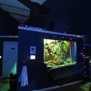 Mixed Freshwater Reptile Exhibit