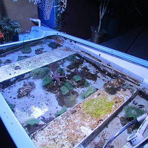 Touch Tank