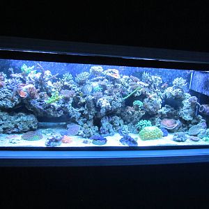 Jewel Tank